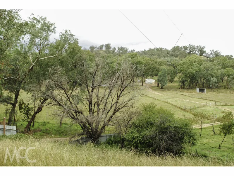 Fantastic lifestyle block at a great price