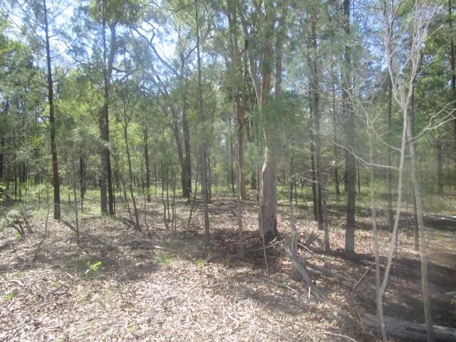JUST UNDER 50 ACRES WITH A LARGE DAM