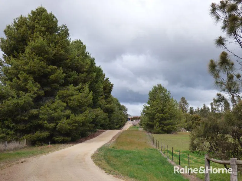 RIPE FOR PICKING OR SUBDIVIDING