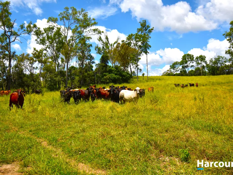 469 ACRES OF QUALITY GRAZING COUNTRY WITH 900m OF BURNETT RIVER FRONTAGE