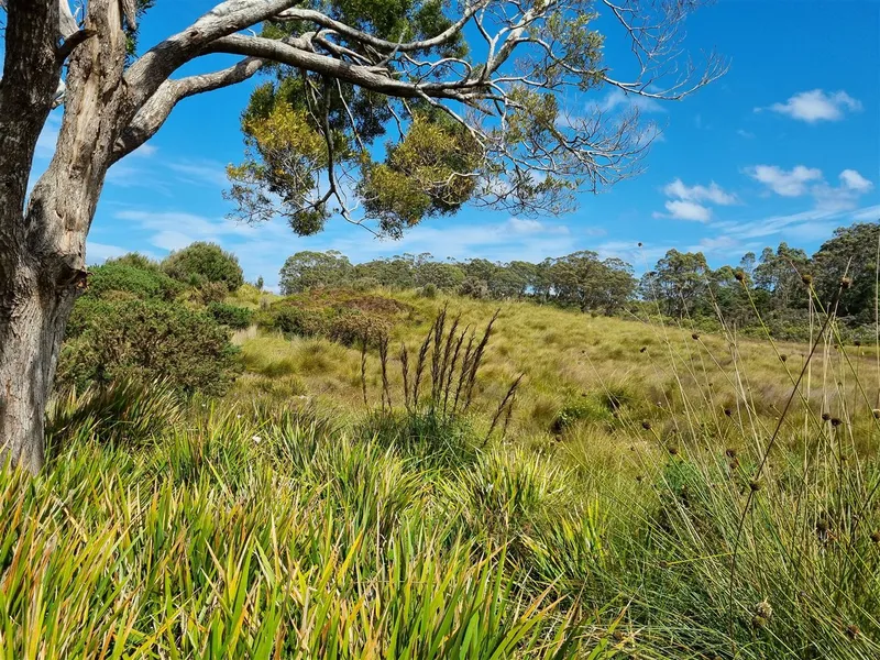 A Piece of Tasmanian Paradise