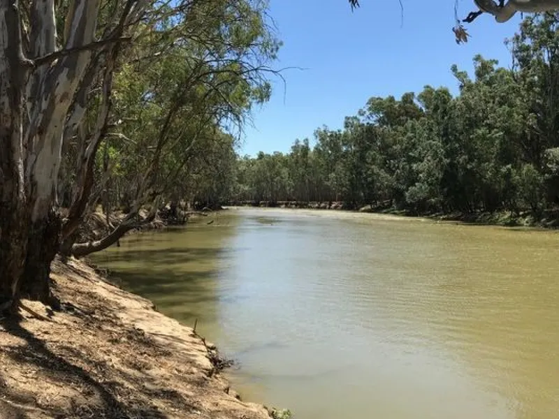 Murray River - Camping - Fishing - Seclusion