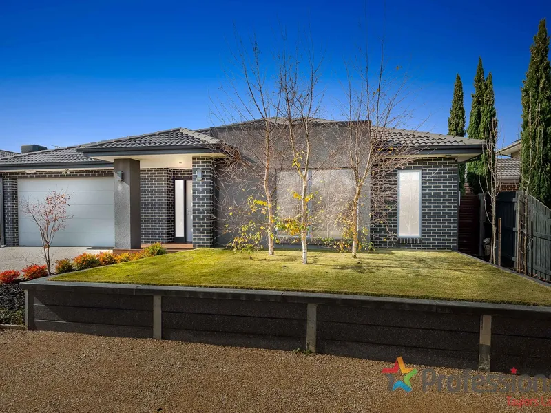 The Best of The Best!