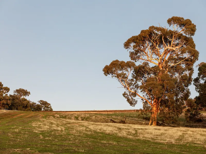 Your Country Dream Awaits