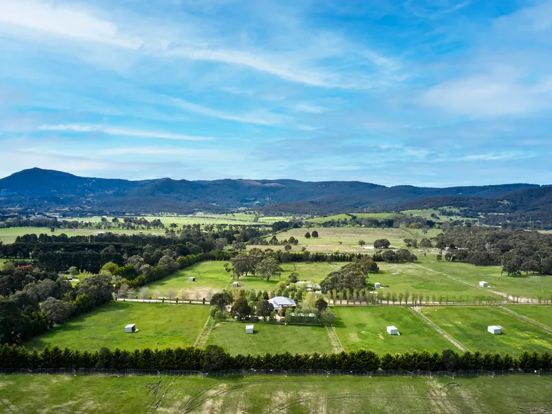 Equine property with huge future potential