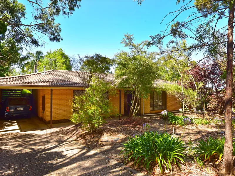 A solid investment for now and then!