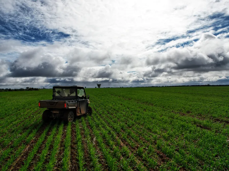 Broadacre Cropping Paradise - Long runs, huge paddocks.