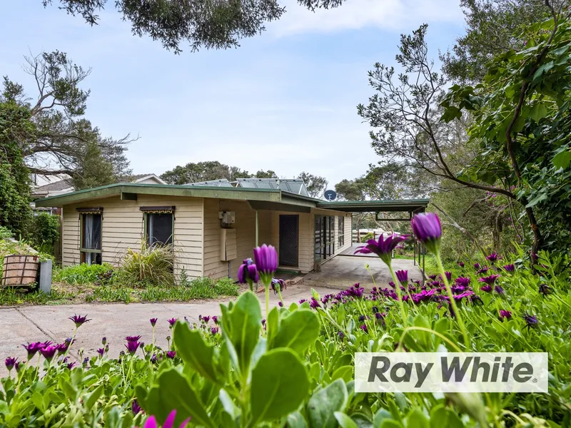 Renovated Delight with Solar Power