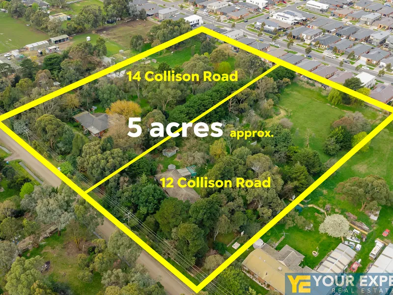 Why buy one when you can get two?