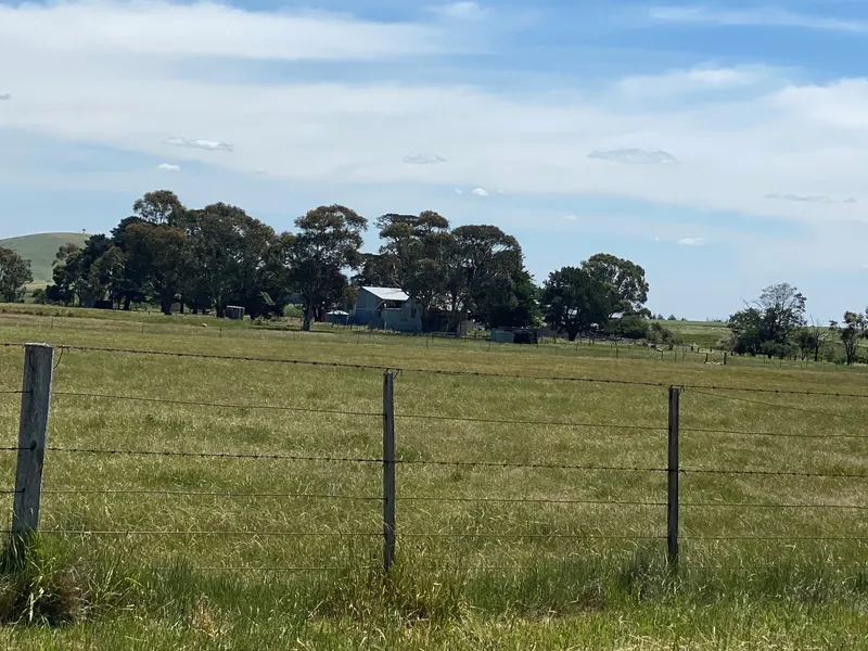 GREAT RURAL PURSUIT!