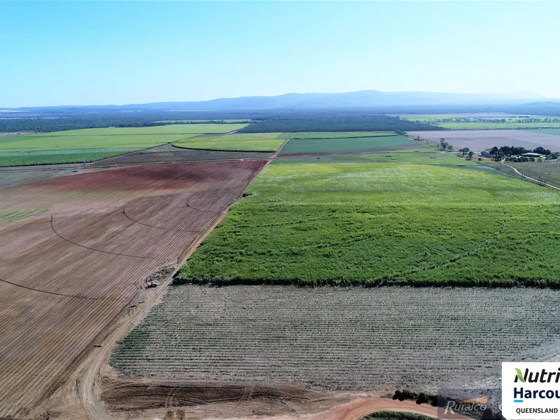 Irrigation Farm & Packing Facility