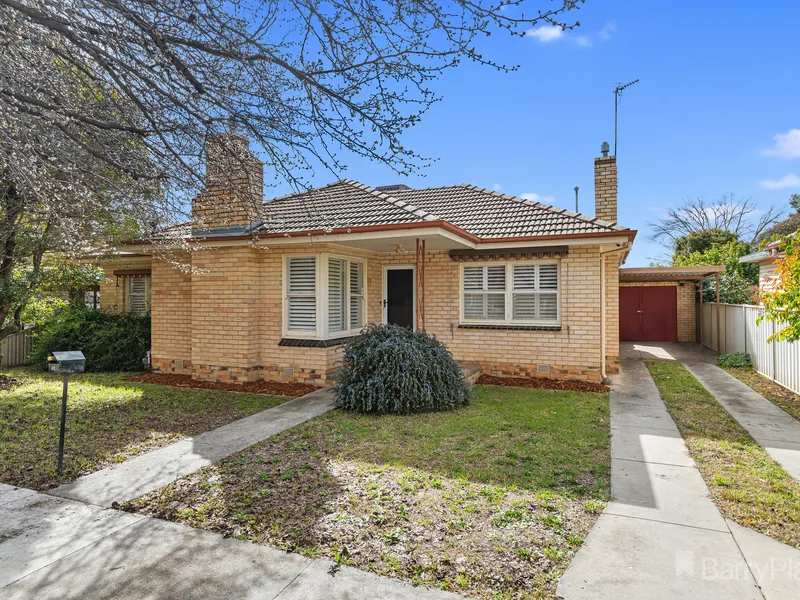 Modern Chic Charmer.