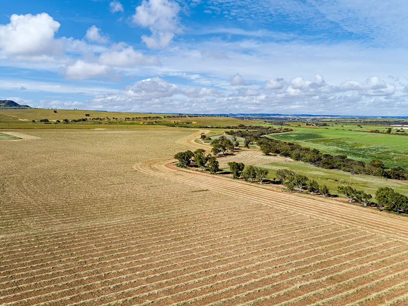 Calling All Developers! Prime Deepdale Opportunity!