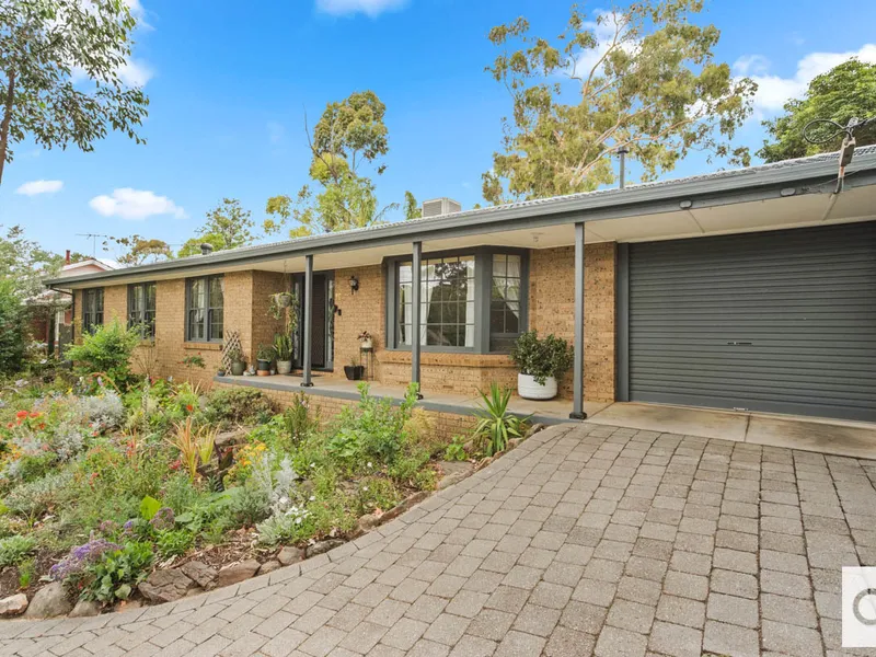 Elevated & updated home, ready to entertain!