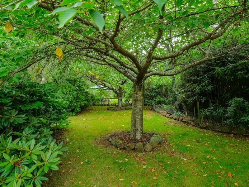 Lifestyle Property - House and 50 Acres
