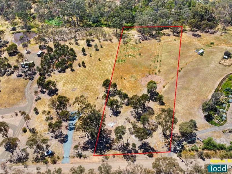 TREE CHANGE ON 2.7 ACRES