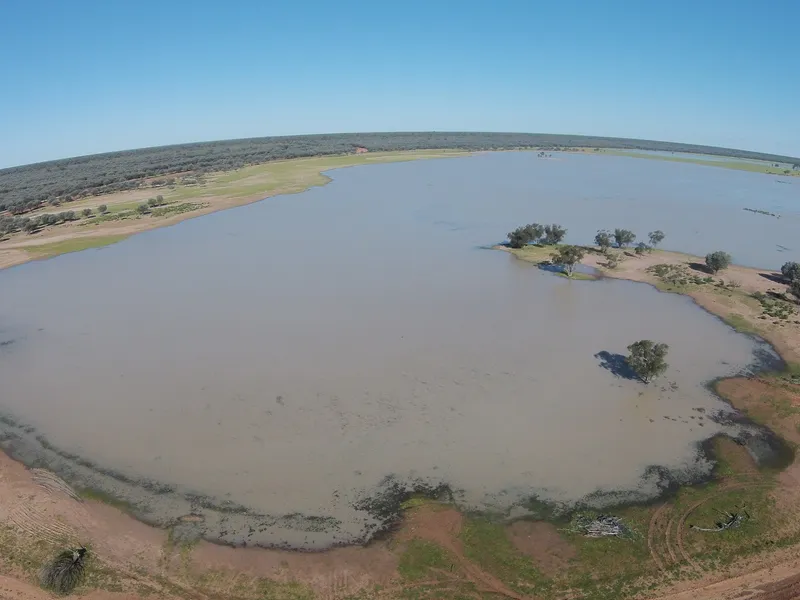 Cunnamulla - Bollon Grazing