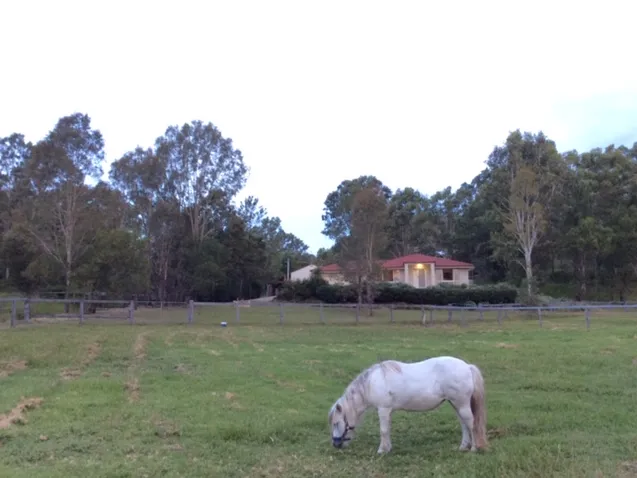 Horse property with Quality home