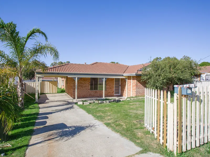 Bargain Buy You Can Really Sink Your Teeth Into