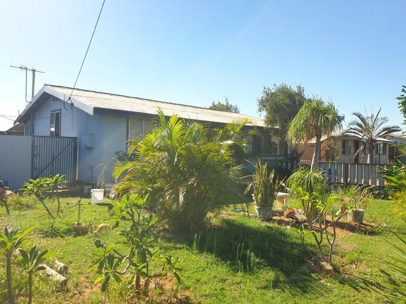 Great Little Starter