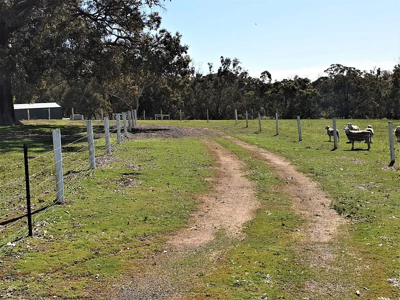 Lifestyle Block near Town