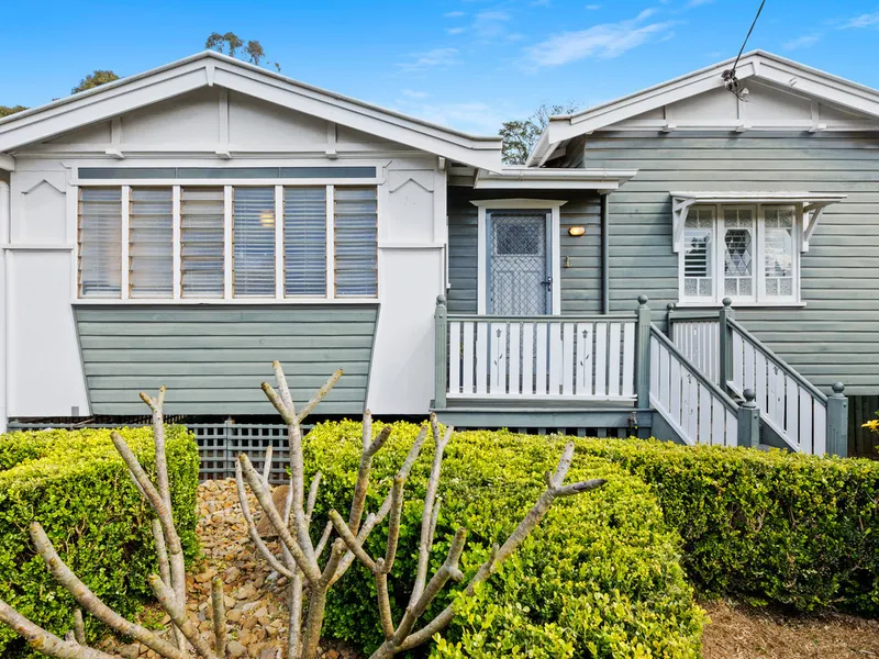 'Hemmingway' - Character & Charm Personified