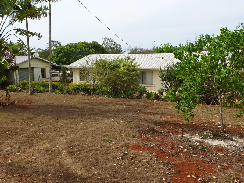 Your Own Mango Farm