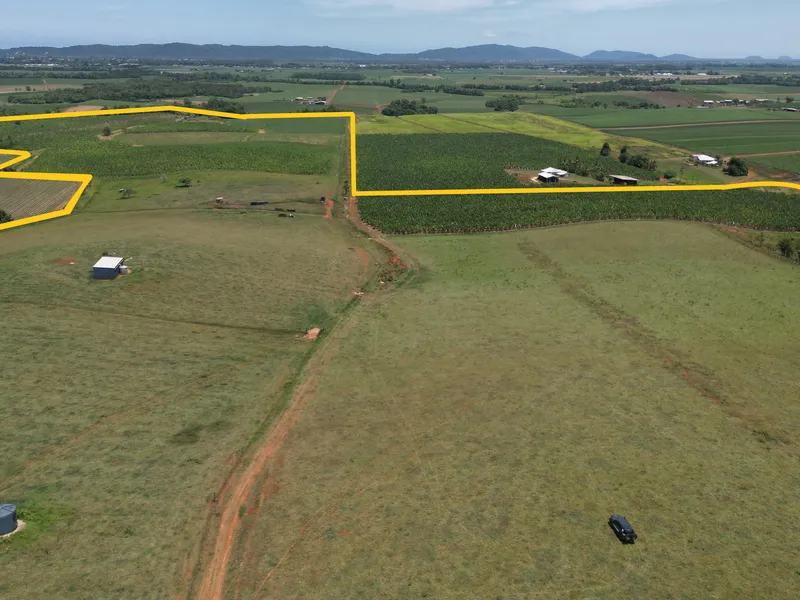 MIXED FARMING CATTLE AND BANANAS - SPECTACULAR PROPERTY 176 ACRES IN TOTAL