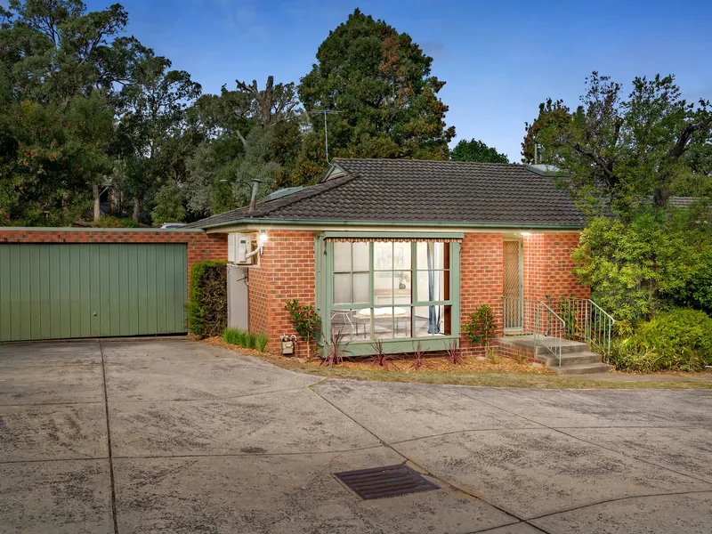 Presented for Comfort, Positioned for Convenience