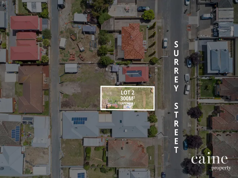 Premium Rare Central Allotment