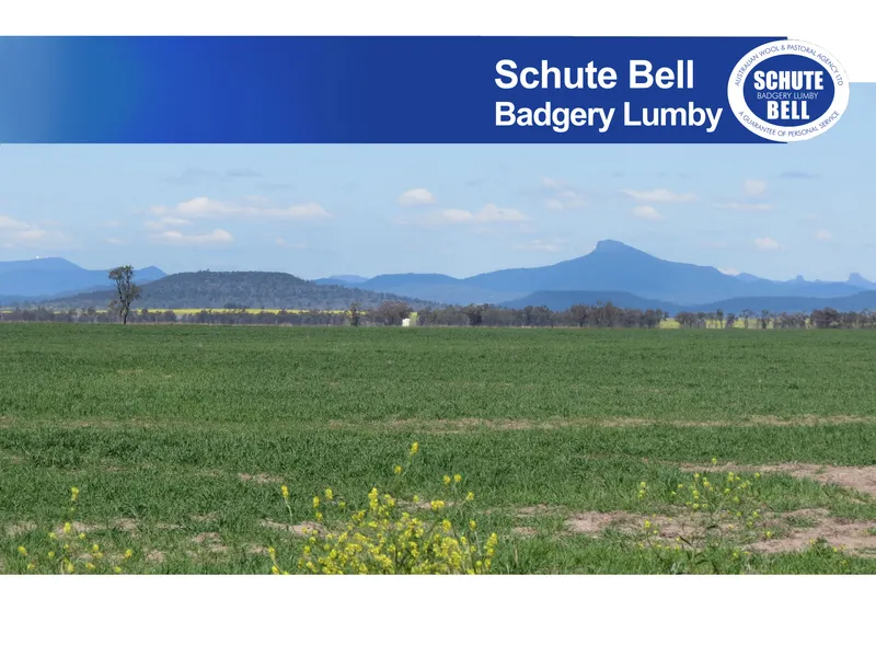 Affordable Livestock and Farming Country