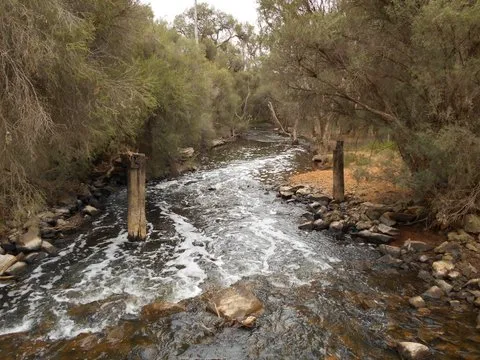 PRIVACY AND EXCELLENT LOCATION