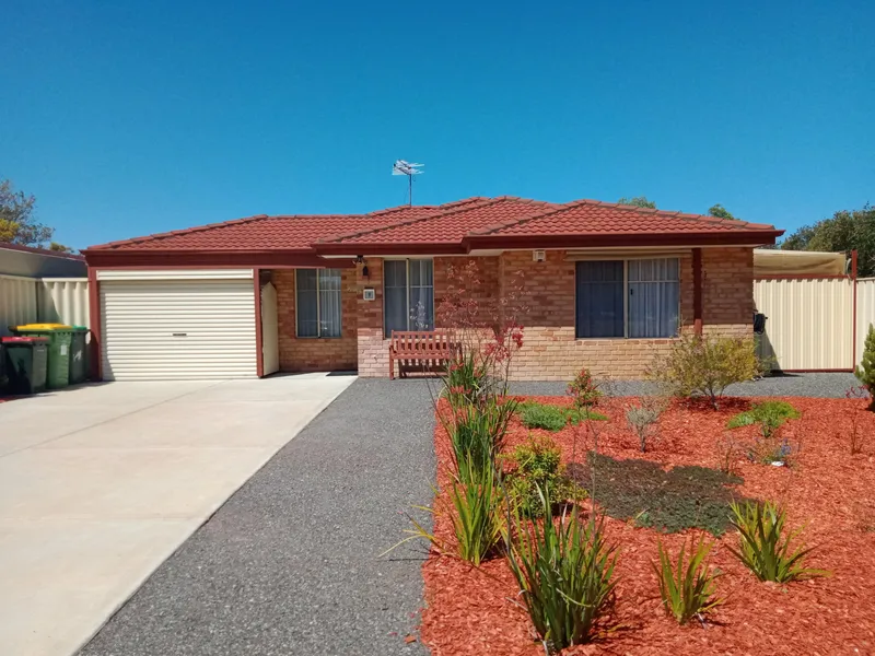 Absolute Ripper Opposite Lovely Park