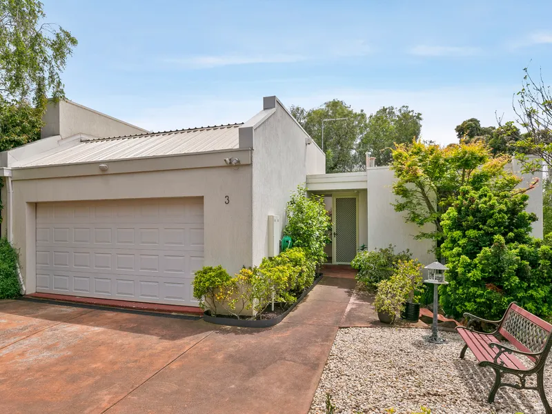 Secluded Sanctuary In The Treetops