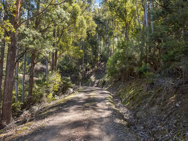 17 Acres, 15 Minutes From The City