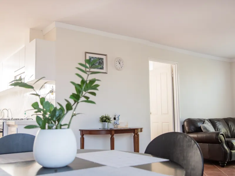 Bright apartment in great location