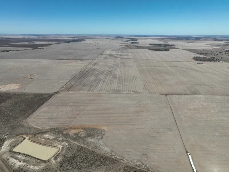 Large Scale Macquarie Valley Mixed Farming Opportunity