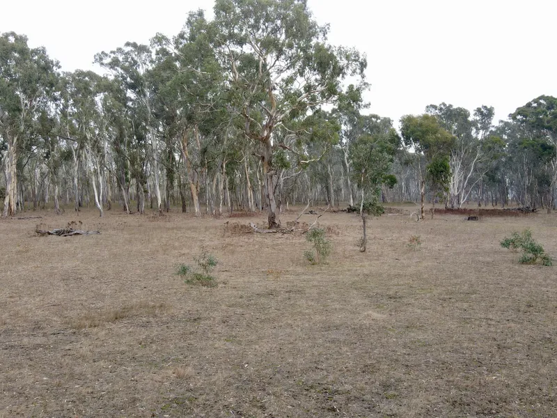 Poolaijelo Bushland Retreat