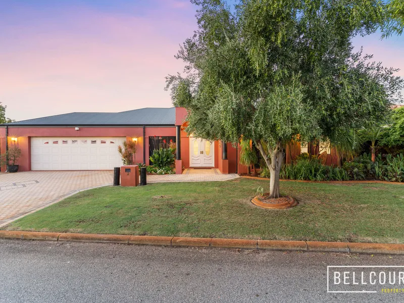 THE FAMILY ENTERTAINER