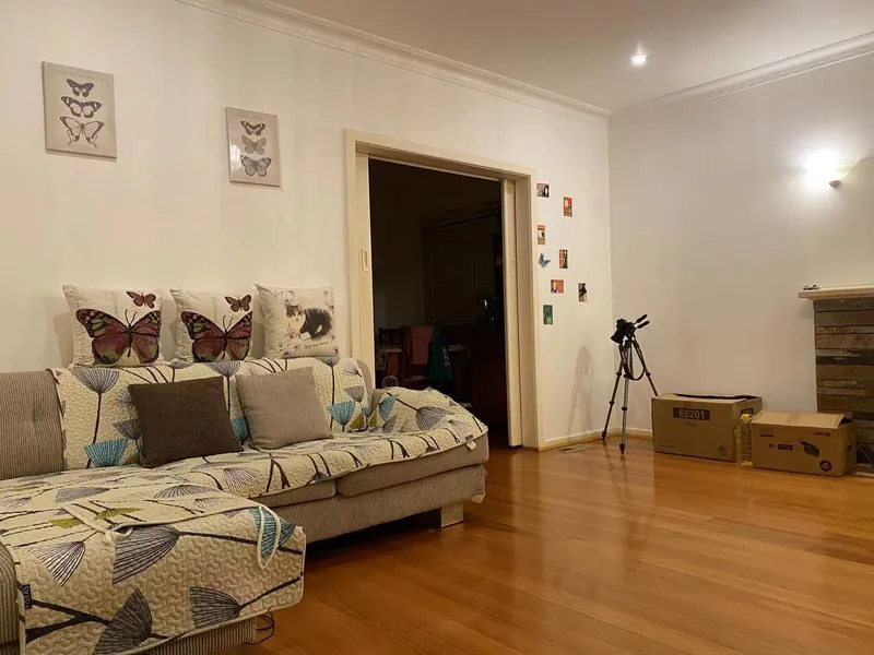 Perfect place to grow your own veggies and save