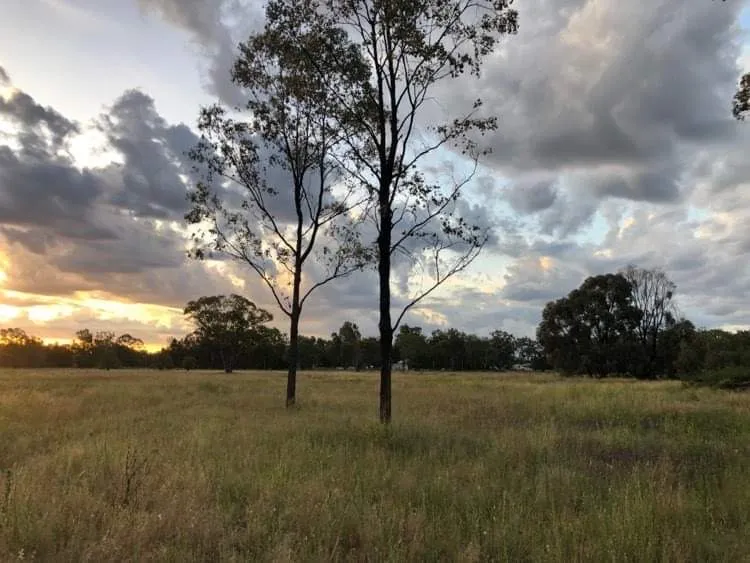 HUGE POTENTIAL, ACREAGE IN TOWN!