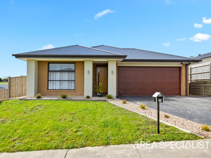 The Brief: Light, Bright and Near New!