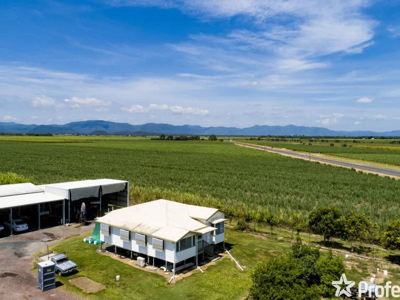 Fertile Soils In Great Location