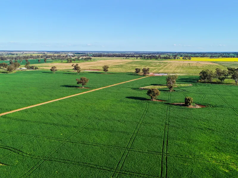 Versatile Larger Mixed Farming Close to Dubbo