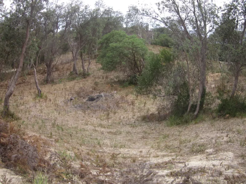 Nice Elevated Larger Block!  Walk To The Beach, Hear The Surf, & Love Life.