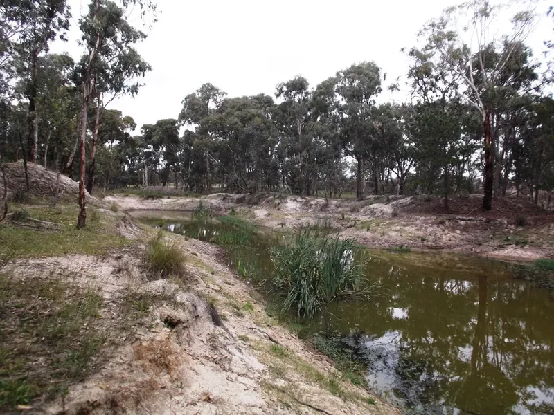 RARE 12 ACRES
