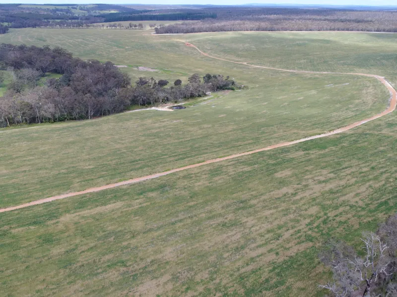 “Sarah’s Place”