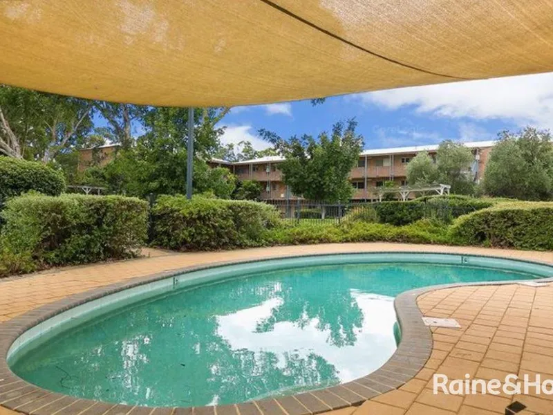 ALL YOU COULD ASK FOR !!!