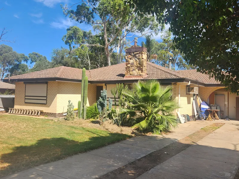 WOW!! DEVELOPER’S DREAM