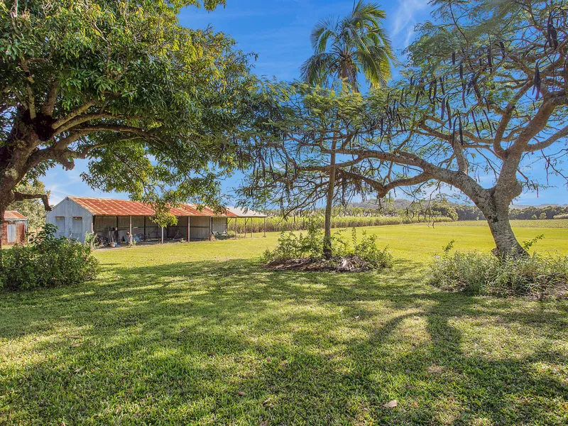 MUCH SOUGHT AFTER RARELY FOUND!